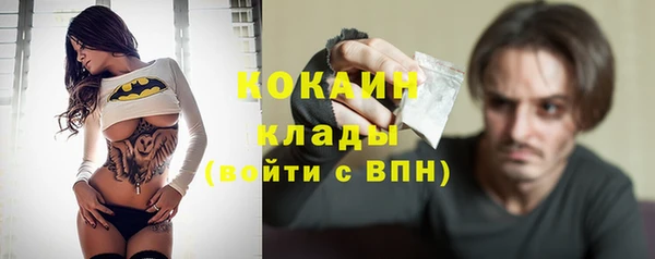 прущие грибы Володарск