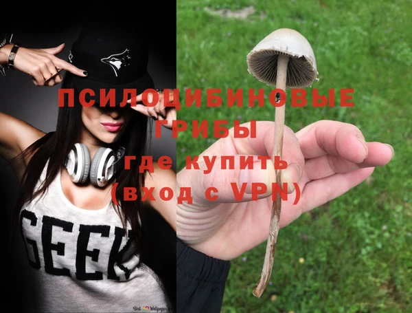 гашик Верея