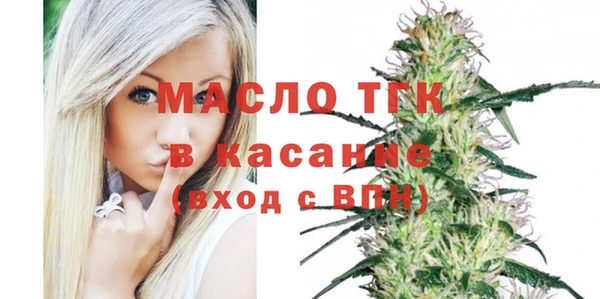 гашик Верея