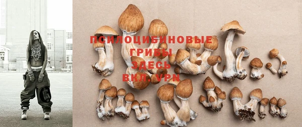 гашик Верея