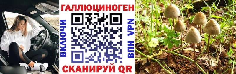 Псилоцибиновые грибы Psilocybine cubensis  купить наркотик  Галич 