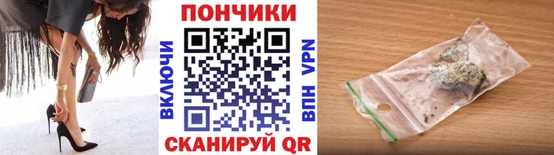 Бошки Шишки SATIVA & INDICA  купить наркотики цена  omg tor  Галич 
